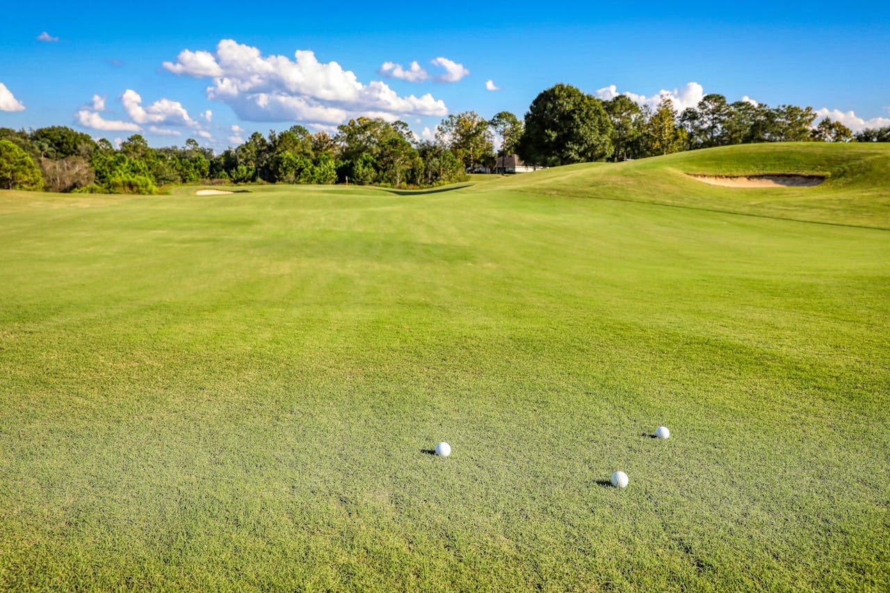 grass on a golf course